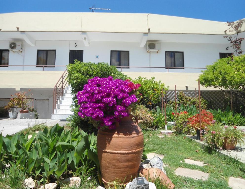 Evi Apartments And Studios Theológos 部屋 写真