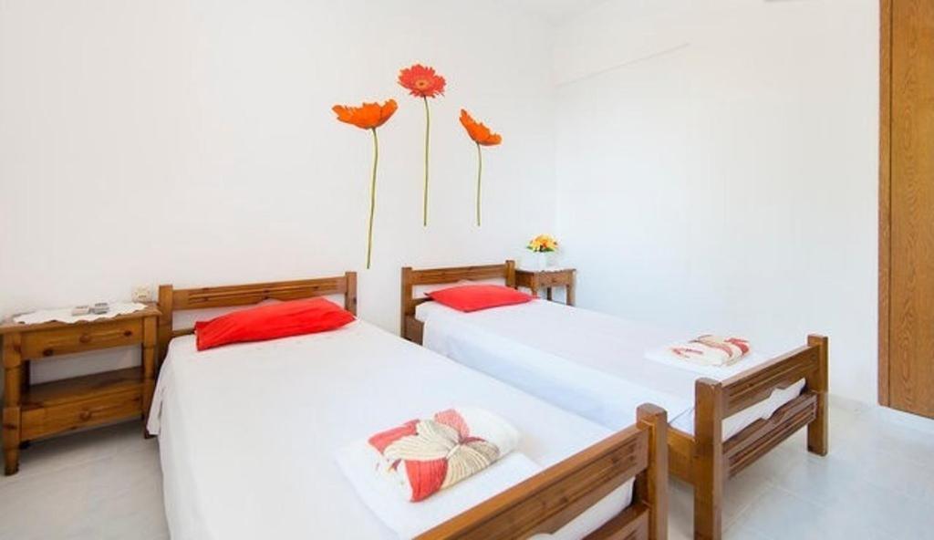 Evi Apartments And Studios Theológos 部屋 写真