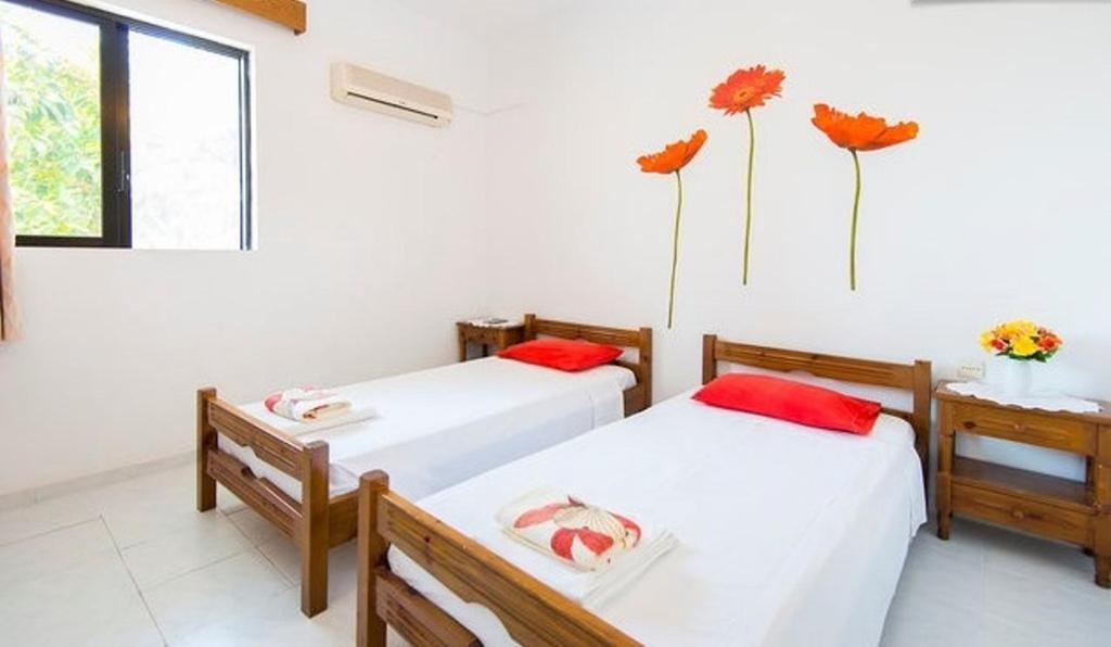 Evi Apartments And Studios Theológos 部屋 写真